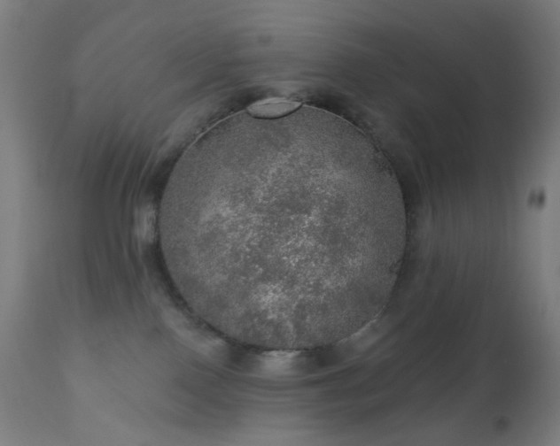 X0000110980090200906191414