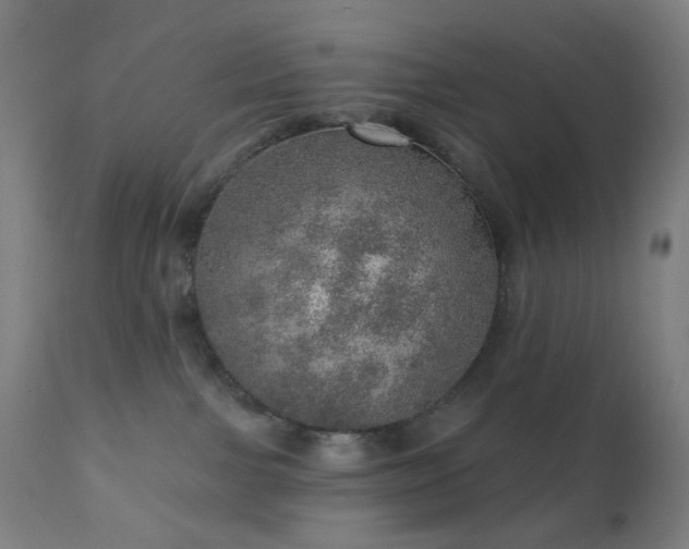 X0000110980091200906191414