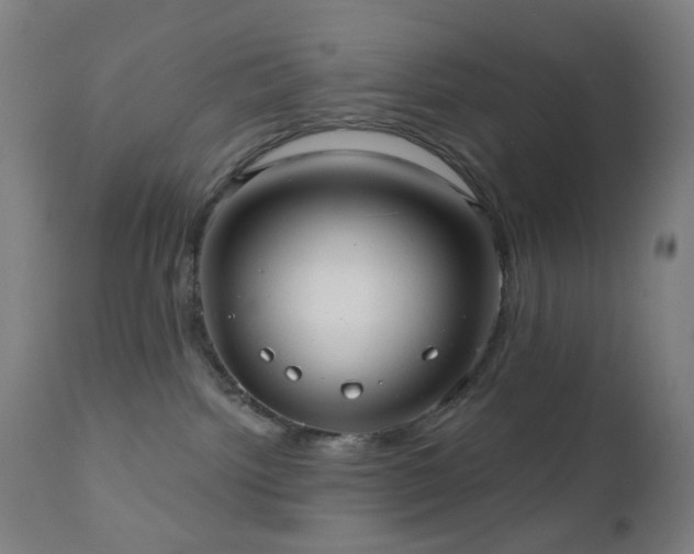 X0000110980092200906191414