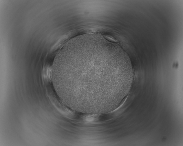 X0000110980094200906191414