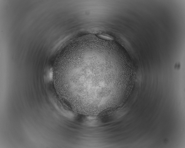 X0000110980095200906191414