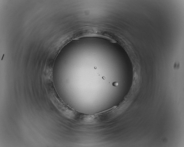 X0000110980096200906191414