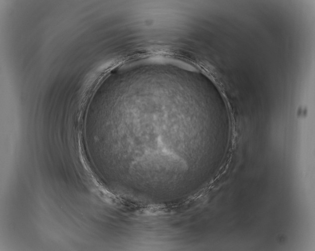 X0000110980097200906191413