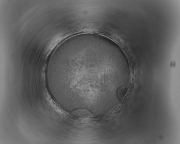 X0000110980098200906191413