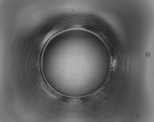 X0000110980099200906191413