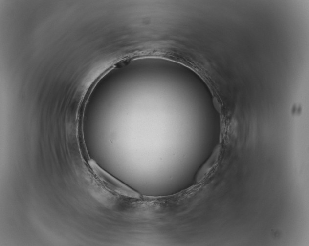 X0000110980100200906191413