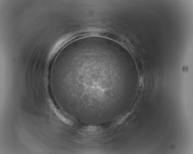 X0000110980101200906191413