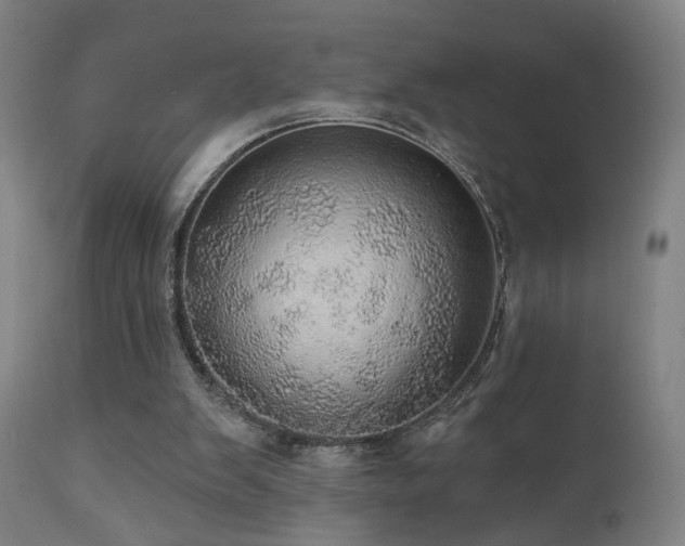 X0000110980103200906191413