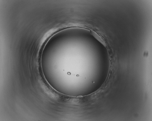 X0000110980104200906191413