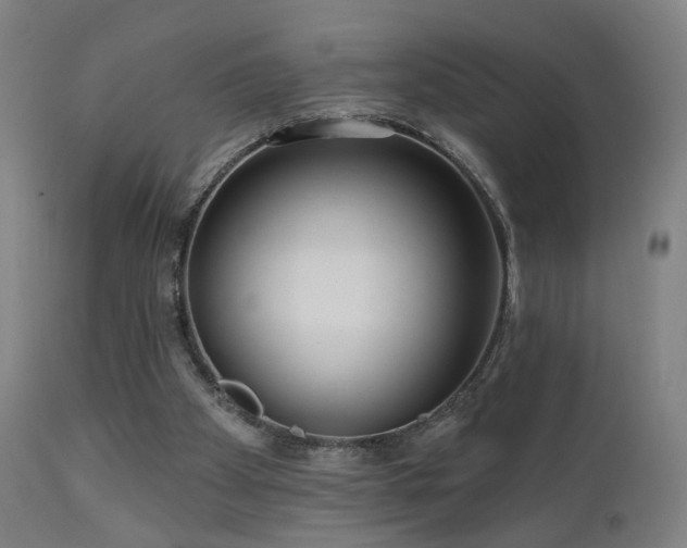 X0000110980105200906191413