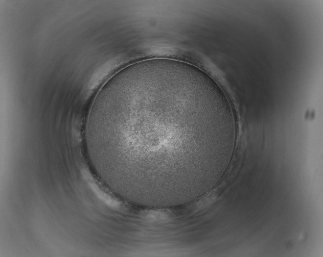 X0000110980106200906191413