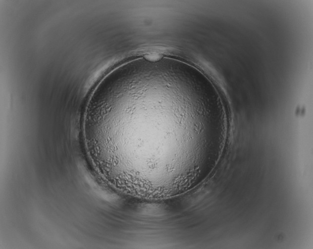 X0000110980107200906191413