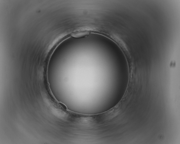 X0000110980108200906191413