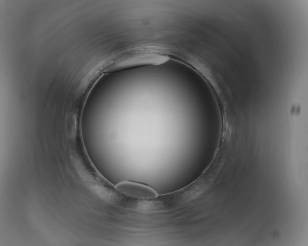 X0000110980109200906191413