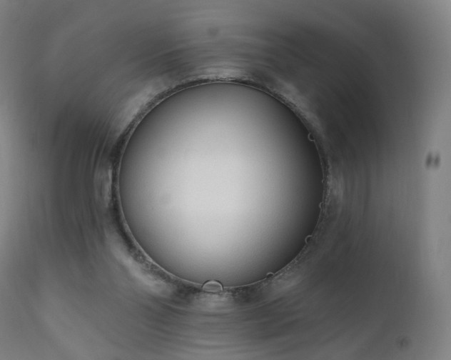 X0000110980110200906191413