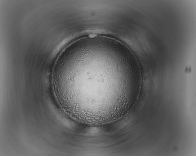 X0000110980111200906191413