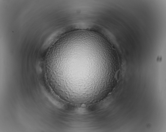 X0000110980114200906191413