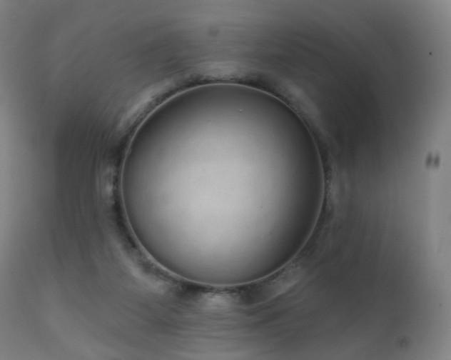 X0000110980115200906191413