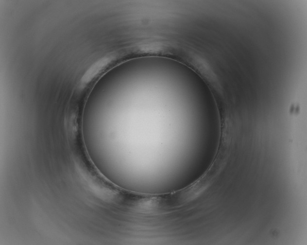 X0000110980116200906191413