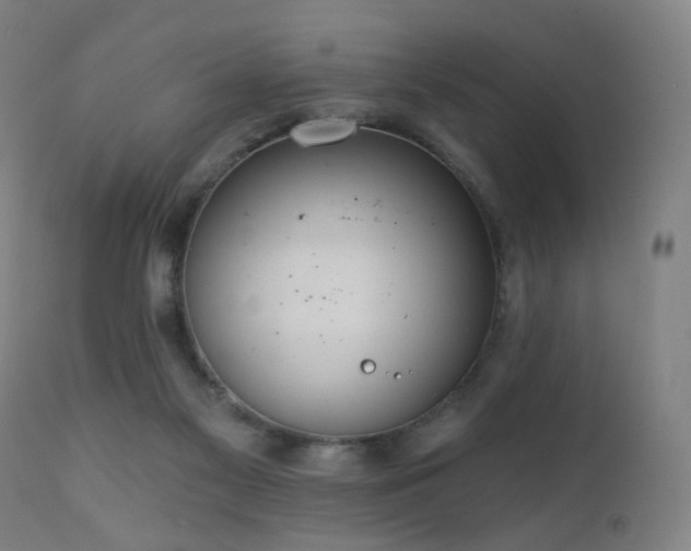 X0000110980117200906191413