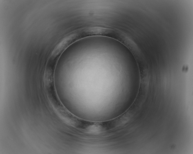 X0000110980119200906191413