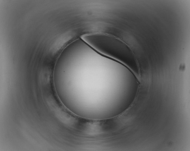 X0000110980120200906191413