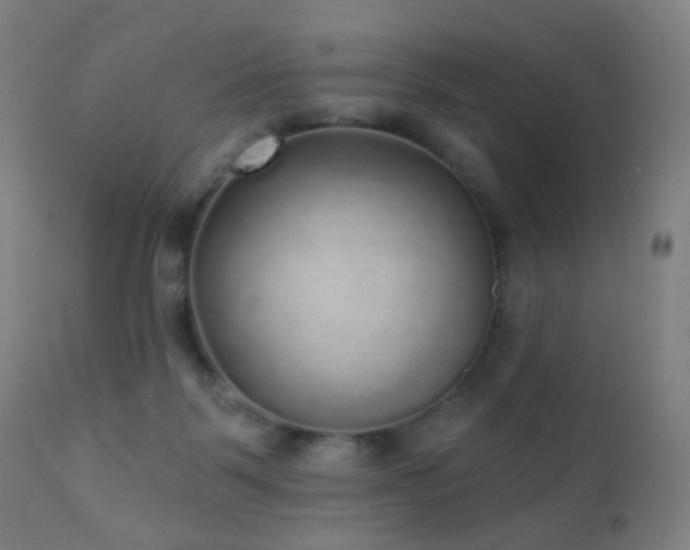 X0000110980123200906191413