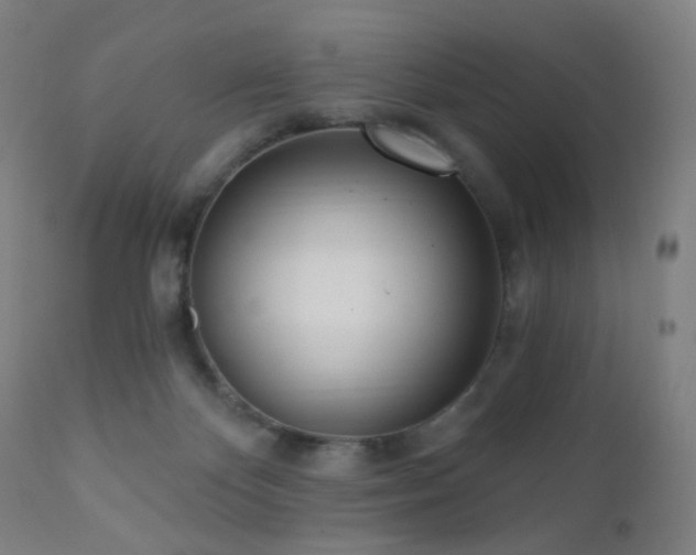 X0000110980124200906191413