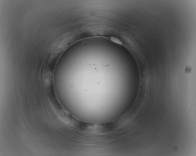 X0000110980125200906191413