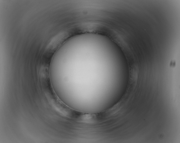 X0000110980126200906191413