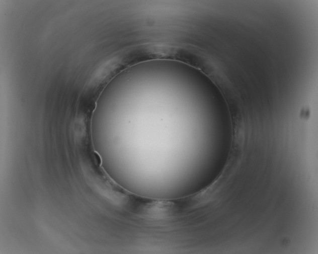 X0000110980128200906191413