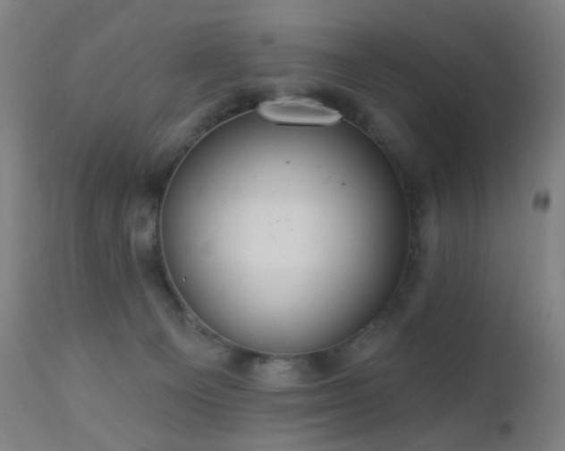 X0000110980129200906191413