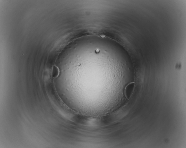 X0000110980130200906191413