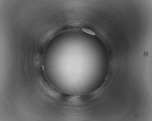 X0000110980132200906191413