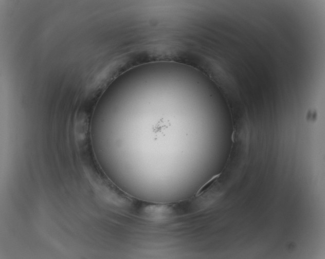 X0000110980133200906191413