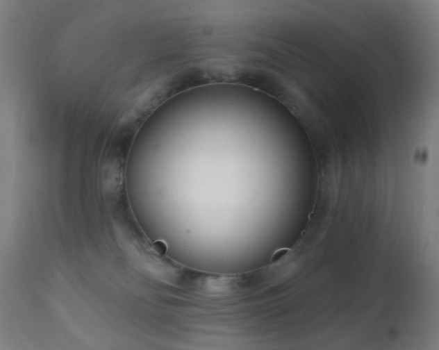 X0000110980134200906191413