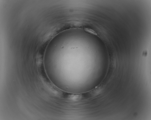 X0000110980135200906191413