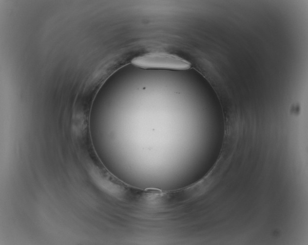 X0000110980136200906191413