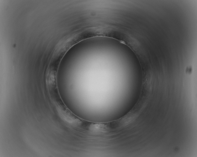 X0000110980137200906191413