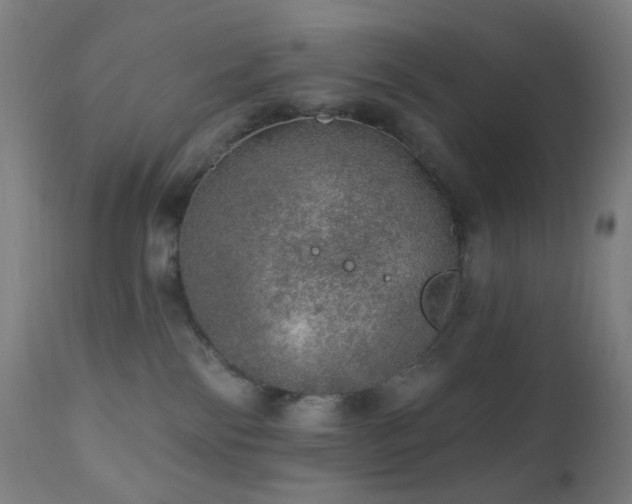 X0000110980138200906191413