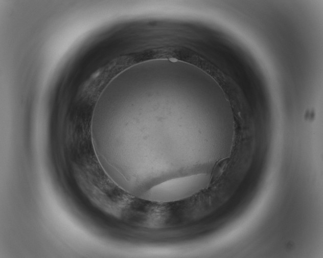 X0000110980143200906191413