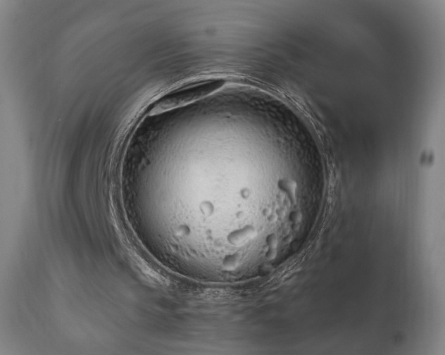 X0000110980145200906191412