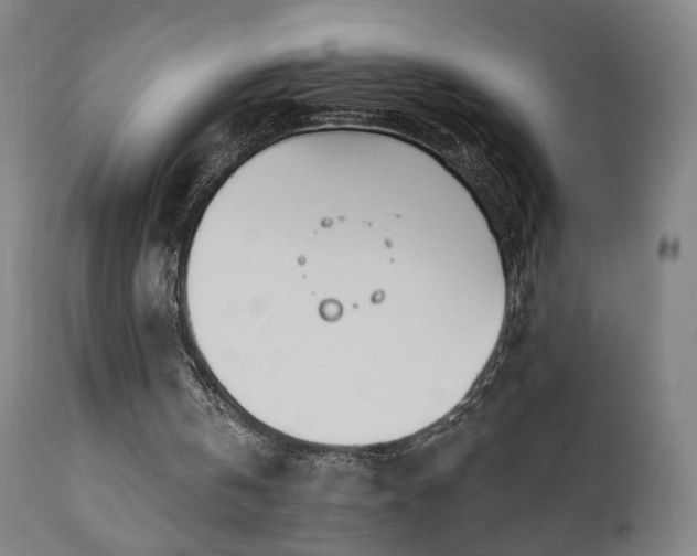 X0000110980146200906191412