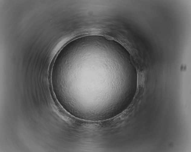 X0000110980147200906191412