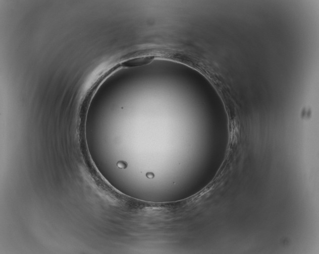 X0000110980150200906191412