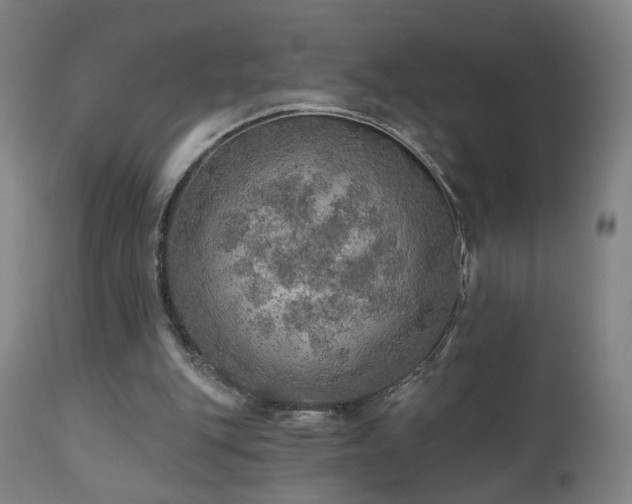 X0000110980151200906191412