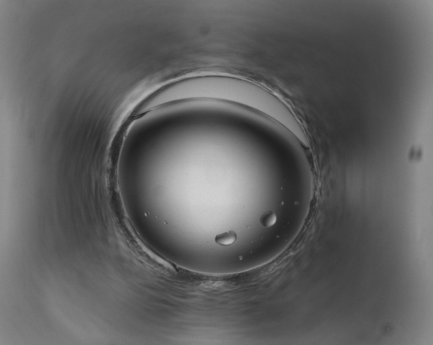 X0000110980152200906191412