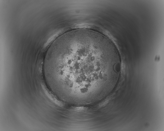 X0000110980153200906191412