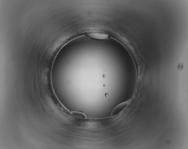 X0000110980154200906191412