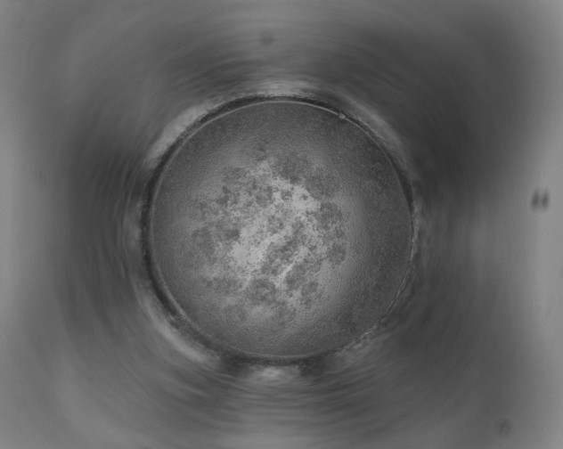 X0000110980155200906191412